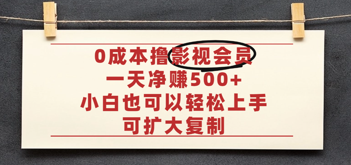 亲测,0成本可批量操作,靠卖影视会员实测月入30000+-晨鑫项目库