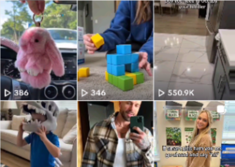 万字实操指南：Seedance联手TikTok带货，月入六位数可复制的全攻略-晨鑫项目库